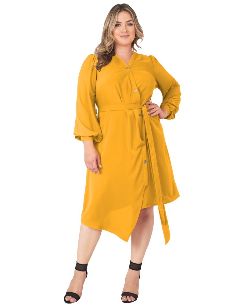 Front of a model wearing a size 1X Leah Lantern Sleeve Dress in GINGER by Standards & Practices. | dia_product_style_image_id:281942